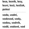 Slova příbuzná vs. slova jiného tvaru - Image 3