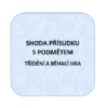 Shoda přísudku s podmětem