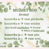 Vzory podstatných jmen – plakáty do třídy - Image 6