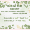 Vzory podstatných jmen – plakáty do třídy - Image 5