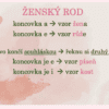 Vzory podstatných jmen – plakáty do třídy - Image 8