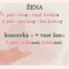 Vzory podstatných jmen – plakáty do třídy - Image 7