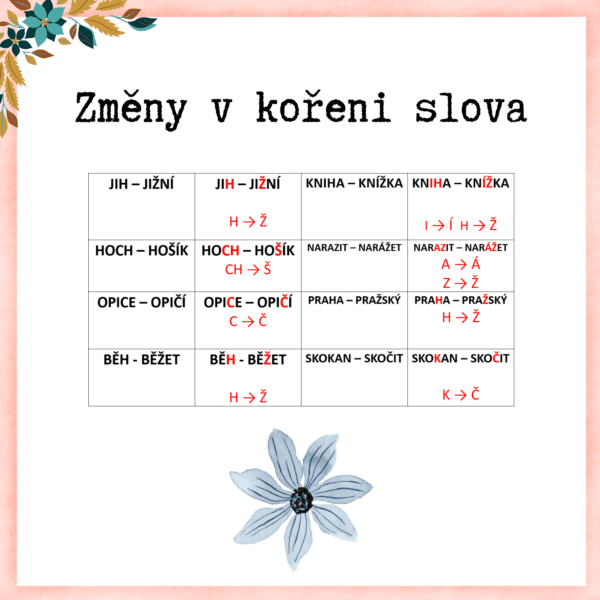 Změny v kořeni slova