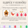 Vyjmenovaná slova a slova příbuzná