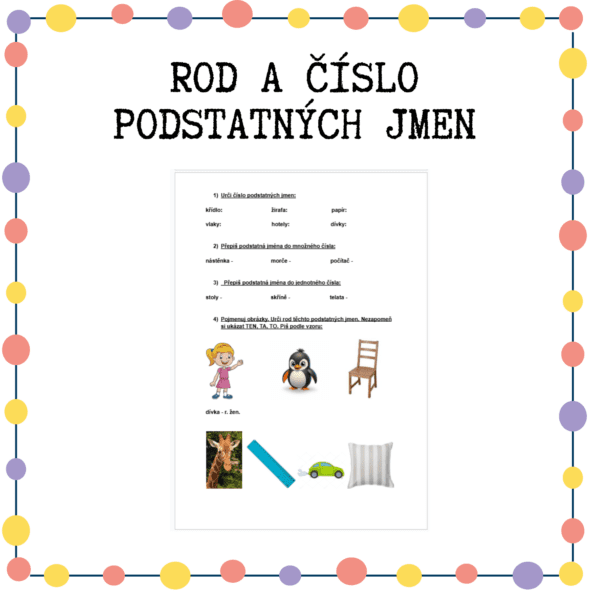 Pracovní list – rod a číslo