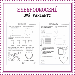 Sebehodnocení