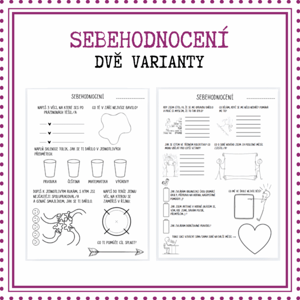 Sebehodnocení
